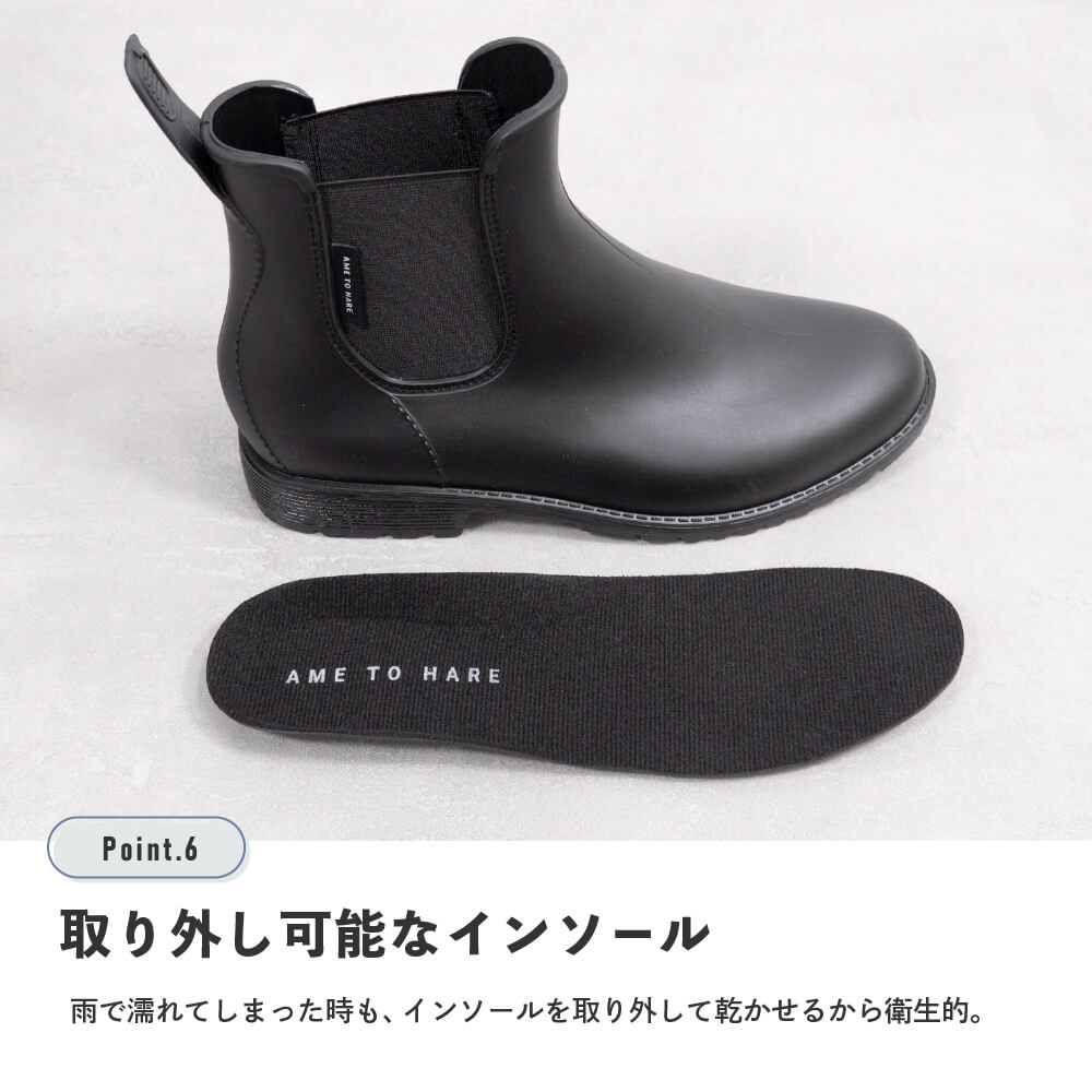 取り外し可能なインソール