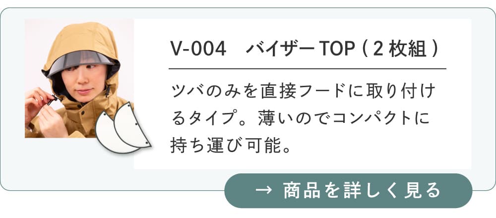 別売りバイザー